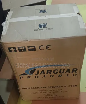 Jarguar Pro Audio TD15MP 15-inch Active Floor Monitor Speaker
