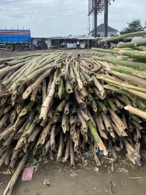 Thick Bamboo for Projects