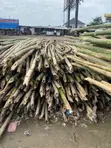 Thick Bamboo for Projects - 2