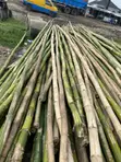 Thick Bamboo for Projects - 3