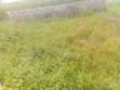 500sqm Plot with Unfinished 3-Bedroom Bungalow in Aso B - 5