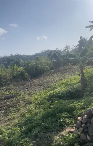 Filin Zama Don Siyawa a Ado Ekiti