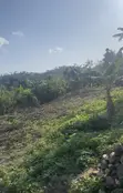 Filin Zama Don Siyawa a Ado Ekiti - 1