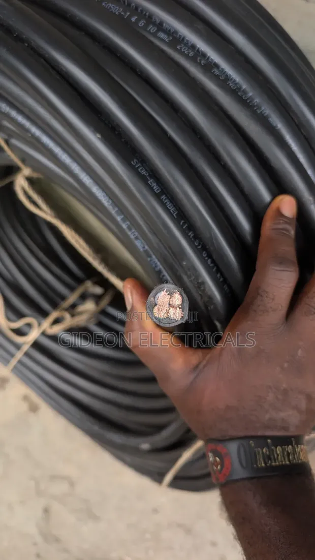 6mm 4-Core Flexible Wire (Pure Copper) - 1
