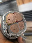 Armored Cable 4 Core - 2