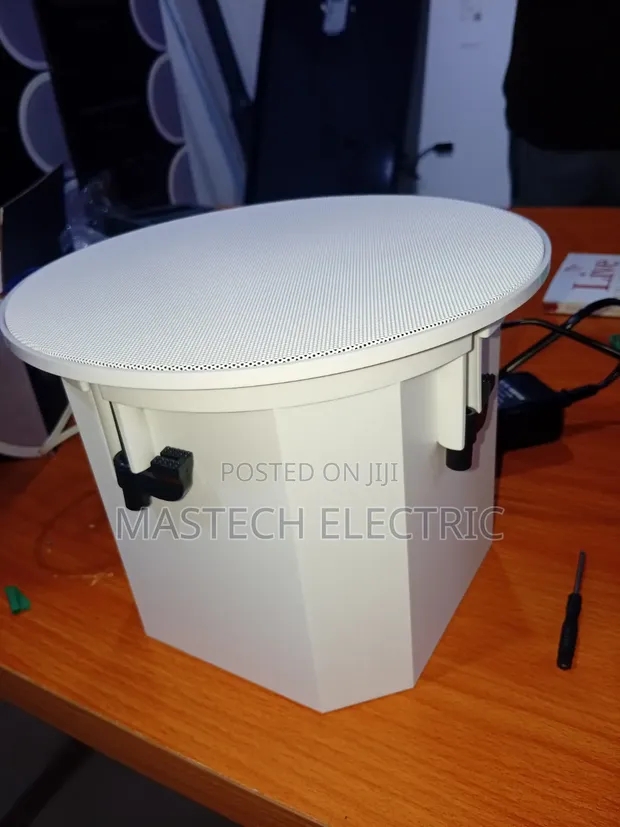 Bass Ceiling Speaker - 60W - 1