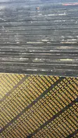 Black Marine Board Plywood - 18mm - 2