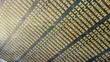 Black Marine Board Plywood - 18mm - 3