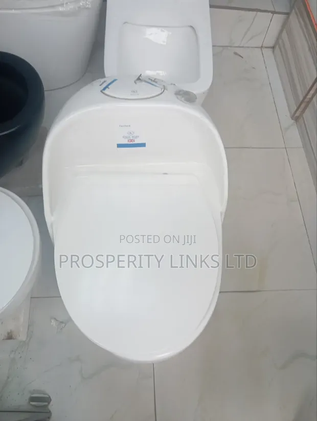 Luxury Twyford England Top Flush WC - 1