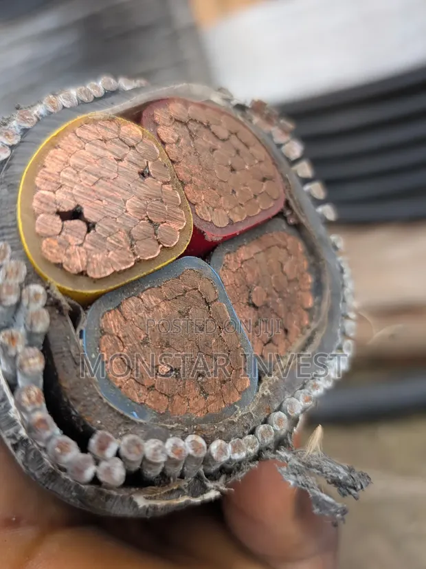 Armored Cable - Copper, Girman 150mm, 4 Cores - 1