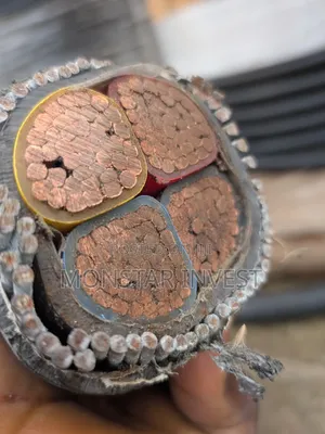 Armored Cable - Copper, Girman 150mm, 4 Cores