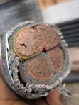 Armored Cable - Copper, Girman 150mm, 4 Cores - 2