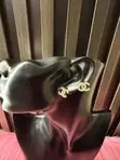 Small Fashionable Stainless Steel Earrings - 1