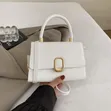 Minimal O-Clasp Minibag - 3