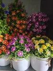 Artificial Table & Shelf Cup Flowers - Brand New - 2