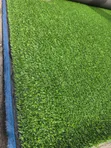 Evergreen Synthetic Grass - Premium Artificial Lawn - 1