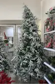 Deco Snowy Christmas Tree 8ft - 3