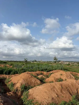 Filin Stallion Peninsula Ketti Kabusa Don Siyawa