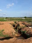 Filin Stallion Peninsula Ketti Kabusa Don Siyawa - 4