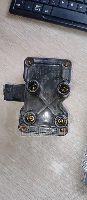 Coil Injini na Ford Ecosport/Focus (2013)