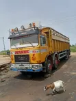 MAN TGM 12-Tyre Diesel Dump Truck - 1