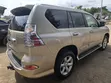 Lexus GX 460 2012 Zinari - 3