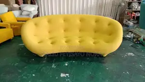 Contemporary Yellow Ploum Sofa