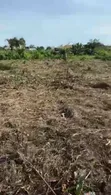 Filin Gona na Sayarwa a Calabar (150 sqm) - 1