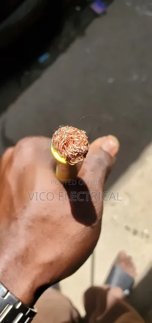 1x50mm Igiyar Copper Mai Sauyi