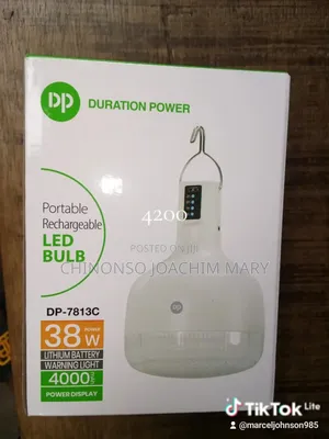 D.light DP 38W Rechargeable Bulb
