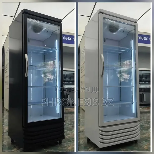 Sabon Inverter Single Door Chiller Showcase - 1