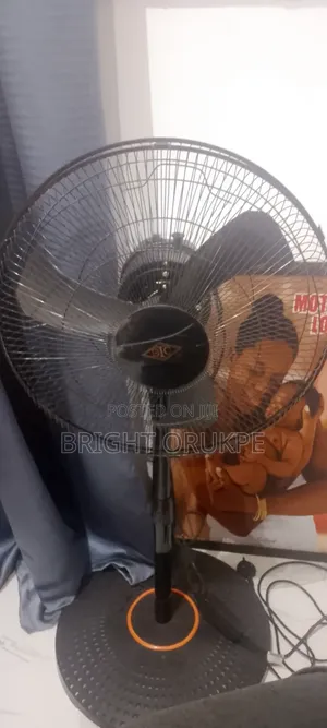 STC Standing Fan