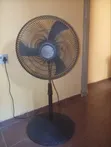 Used OX Standing Fan - 1