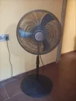 Used OX Standing Fan - 2