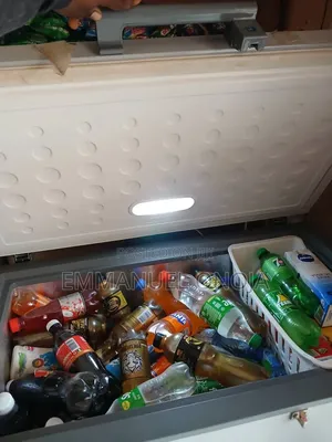 Skyrun Deep Freezer - Neatly Used