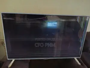 Samsung 55-inch TV (Screen Broken)