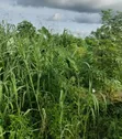 Filin Kasuwanci na Table Land don Siyarwa a Calabar - 1