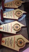 Presentation Award Plaque - Gold Wood - 2