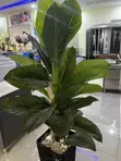 Artificial Flowers with Decorative Vase - Multicolor - 1
