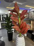 Artificial Flowers with Decorative Vase - Multicolor - 2
