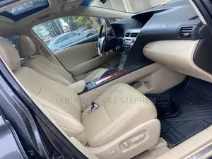 Lexus RX 350 2010 Gray