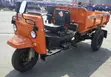 Sabo Tricycle 2026 Orange - 2