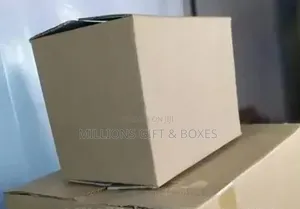 Emptying Cartons/Boxes & Styrofoam Coolers