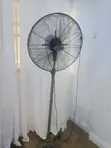 OX Fan Mai Girman 20' - 2