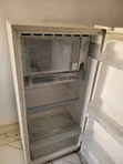 LG Standing Refrigerator/Freezer - 1