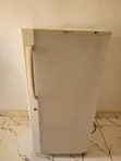 LG Standing Refrigerator/Freezer - 4
