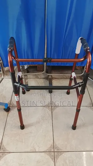 Estin Walking Frame with Swing