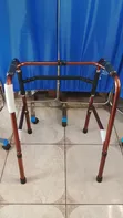 Estin Walking Frame with Swing - 3