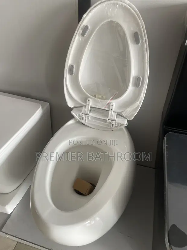 Master White Conceal Egg Shaped Water Closet - 1