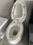 Master White Conceal Egg Shaped Water Closet - 1